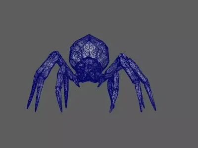 Spider 3D model 29
