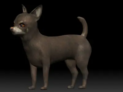 Chihuahua Dog Low-poly 3D model