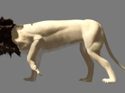 Lion With Basic Rigged 3D model