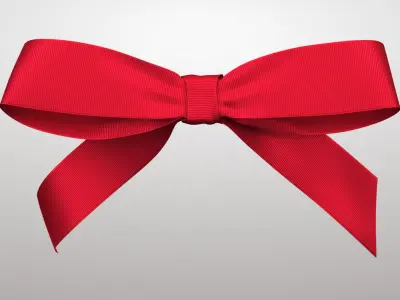 Gift Bow 2v PBR 3D model