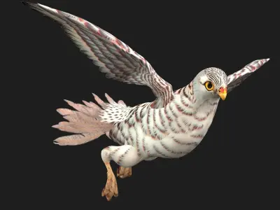 Kestrel B5 3D model