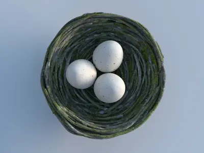 Bird Nest 3D model purchase