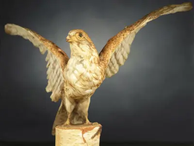 9 Birds Collection V3 Low-poly 3D model