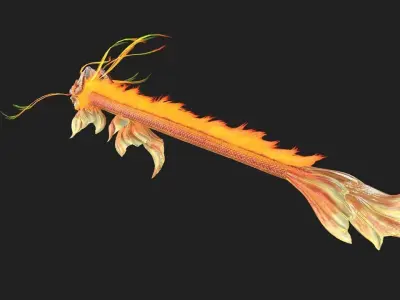 Dragon Animation Low-poly 3D model