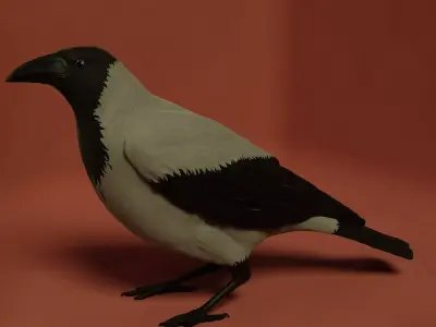 Standing crow 3D model