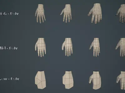 Hands Base Mesh  Low-poly 3D model