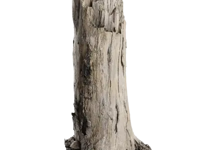 Tall Broken Bare Splintered Stump Model 