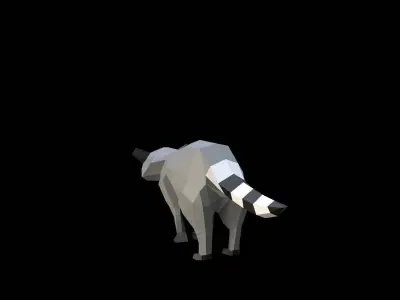 Raccoon Low-poly 3D model
