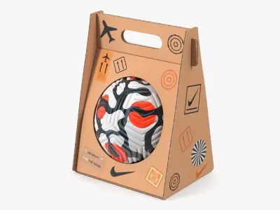Package with Nike Flight Soccer Ball 2021 3D model