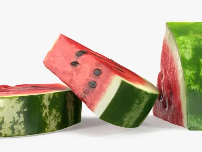 Sliced Watermelon Collection 3D model