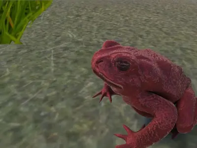 PBR Toad Animated Low-poly 3D model