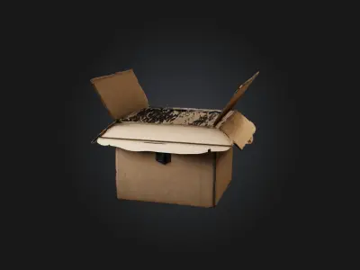 Realistic Filing Box Model Low-poly 3D model