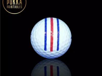 Golf Ball Marker Triple Track Alignment Aid Tool STL 3D print model