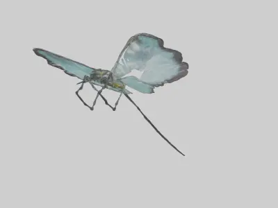 Glasswing Butterfly feeding model Low-poly 3D model