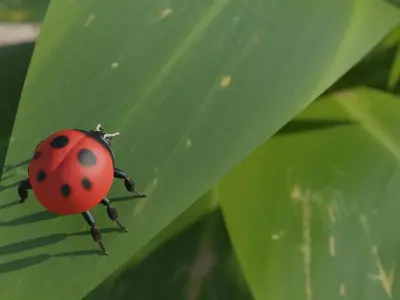 Ladybug Free 3D model