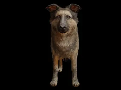 Low Poly Dog last of us Low-poly 3D model