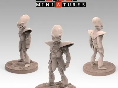 Term 3 - Namek Saga Part 1 - Dragon Ball Miniatures 3D print model