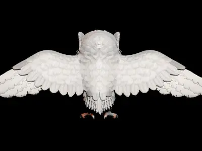 Realistic Owl Low-poly 3D model