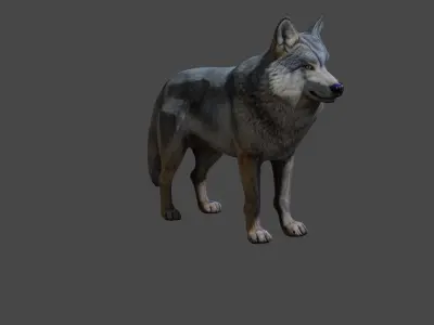 Wolf 3d model Free Download Free 3D model
