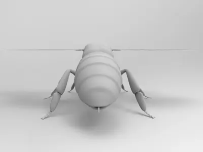 Honey Bee 3D model order