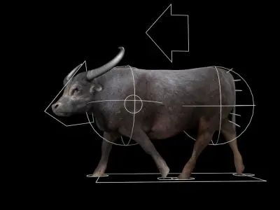 3DS Max Water Buffalo Rigged Low-poly 3D model