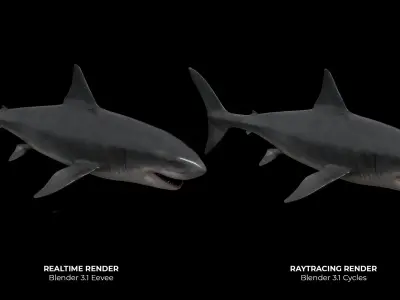 Great white shark Low-poly 3D model 10