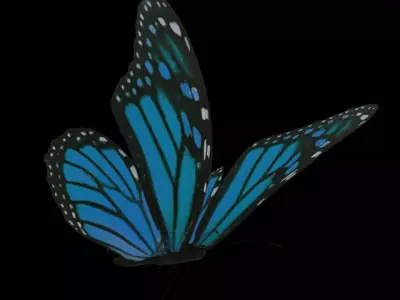 Butterfly flying Low-poly 3D model