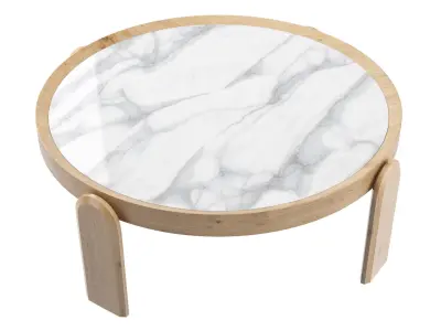 Coffee Table  2 3D model