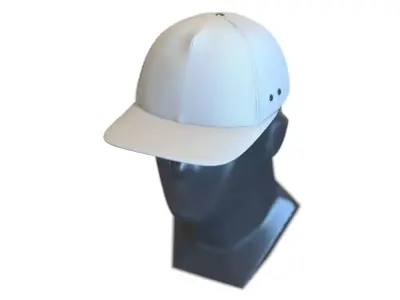 Cloth Cap 3D Model Free 3D model