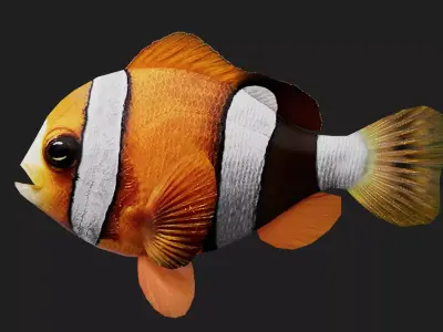 Clownfish Low-poly 3D model buy