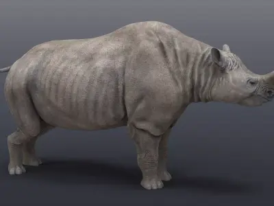 Megacerops coloradensis 3D model