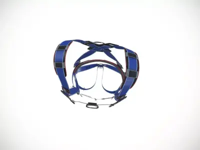 security harness 3d model 3D model