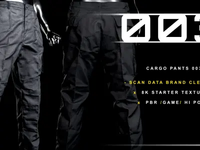 Cargo Pants 003 Low-poly 3D model