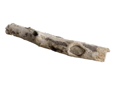  Medium Bare Conifer Log Model 