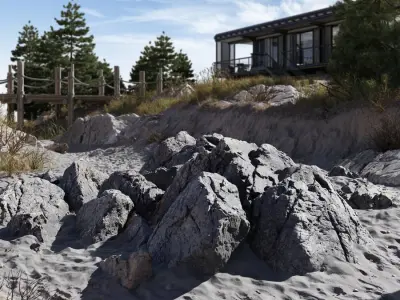  Large Dark Jagged Beach Rock Model 