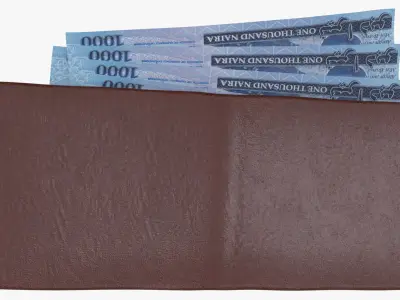 Nigeria 1000 Naira Wallet Money Purse 3D model