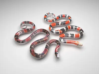 Snakes 3D model