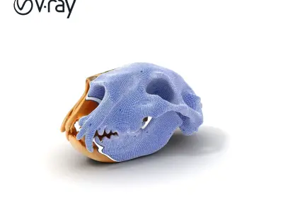 Animal Skull Model Pack for D Environments Low-poly 3D model