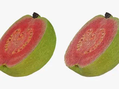 Pink Guava Collection 2 3D model