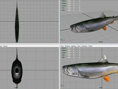 TROUT brook Low-poly 3D model