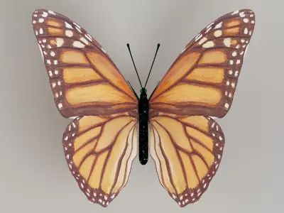 butterfly monarch 3D model buy