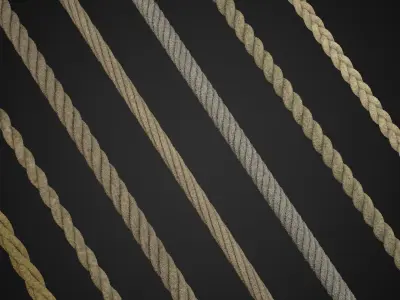 ropes and wire 3D model