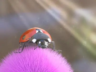 Ladybug 3D model buy