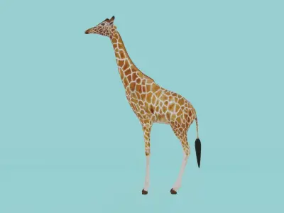 Giraffe Low-poly 3D model buy