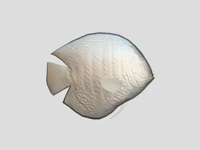 Discus  Realistic Animated Low-poly 3D model purchase