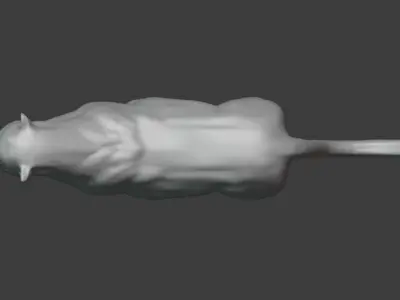 Jaguar cat 3D model