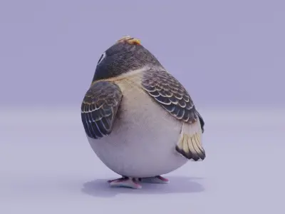 Bird Cute Baby Low-poly 3D model