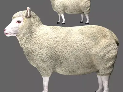 Sheep Low-poly 3D model