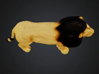 lionn 3D model