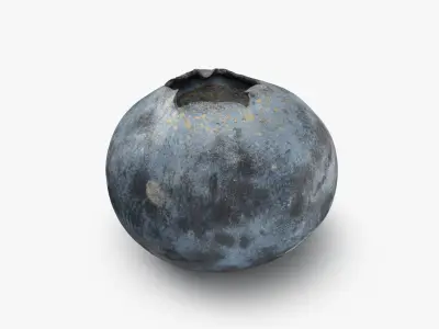 Blueberry - 3D Scanned Collection 3D model